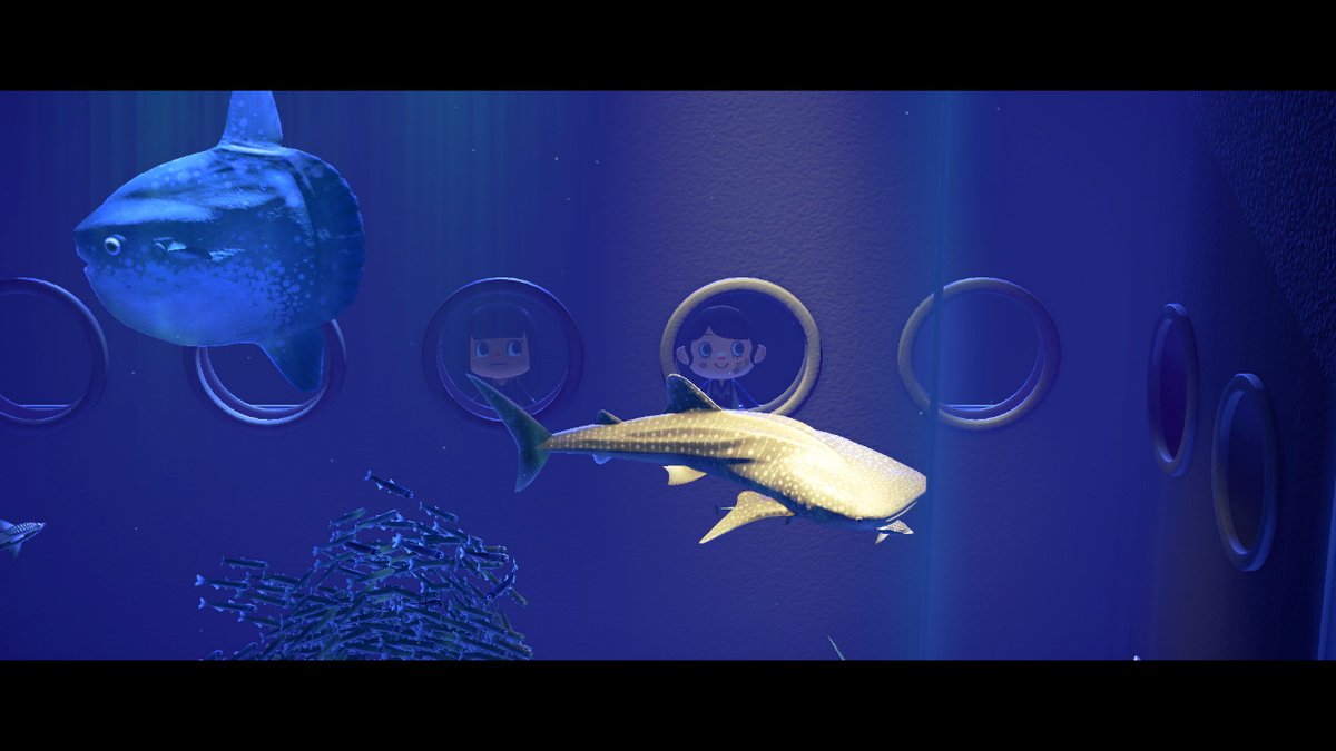 柯西黎曼八腕总目 tweet media