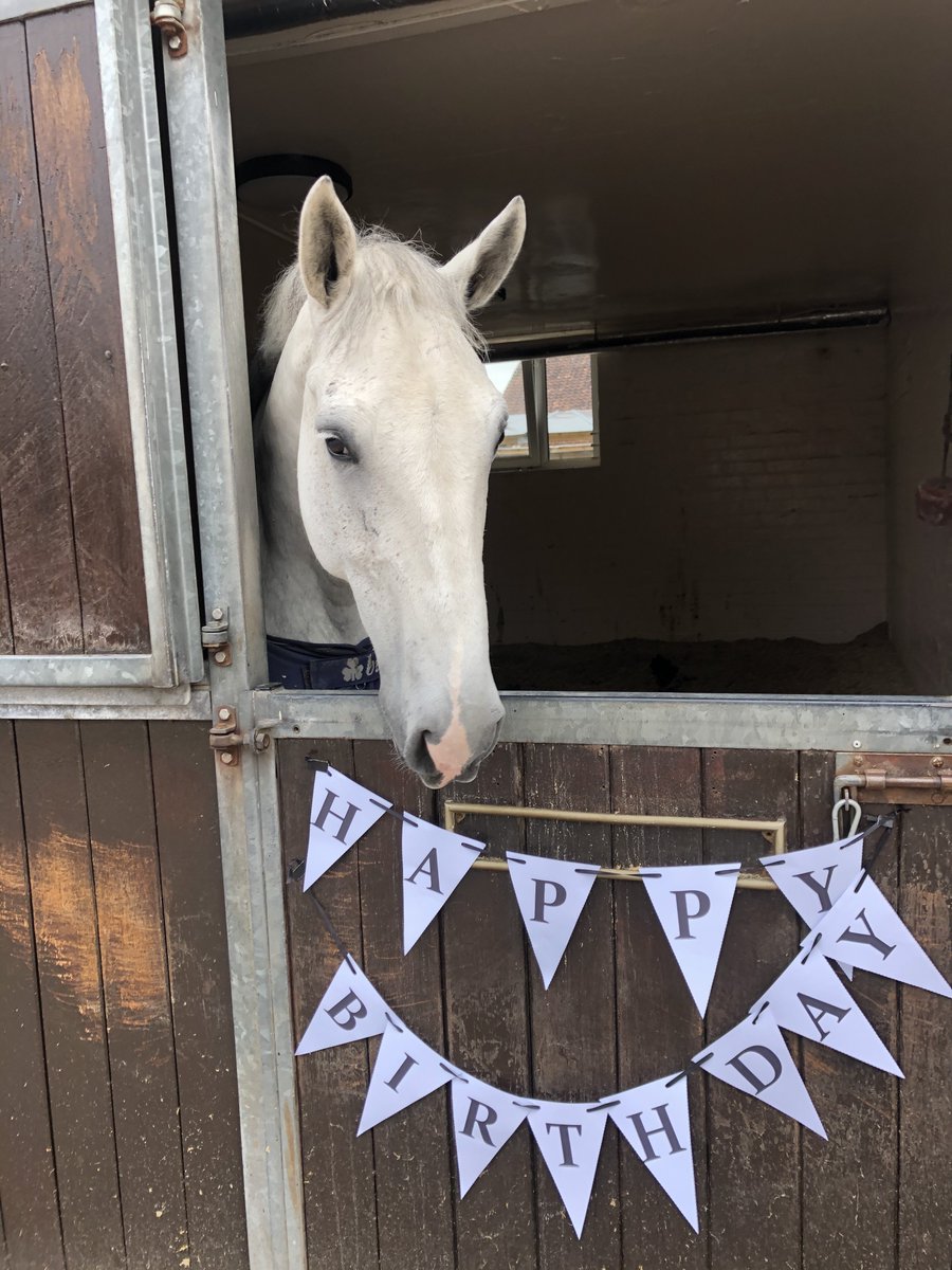 MerPolMounted's tweet photo. HAPPY 10th BIRTHDAY NED! #StandTall #PHNed #BirthdayBoy https://t.co/ffPt31AKNw