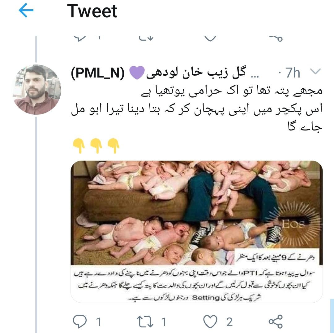 Twitter is losing its attraction among serious crowd as frequent use of abusive language has made the it very toxic.Political party heads shld not encourage abuse by following abusive trolls. @BBhuttoZardari &  @MaryamNSharif shld unfollow dozens of abusive trolls they r following