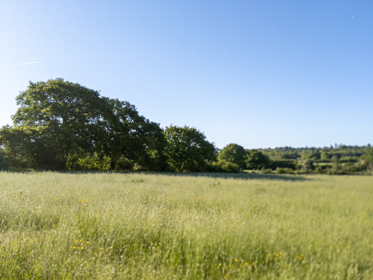PhotoKTomlinson's tweet photo. Such a lovely morning

#morningwalk  #oneexerciseaday #outsideonceaday #quarantine @metoffice @chrispage90 @itvAnglia @itvWeather @BBCWthrWatchers #colchester #essex #appicoftheweek https://t.co/VpuazXQeEh
