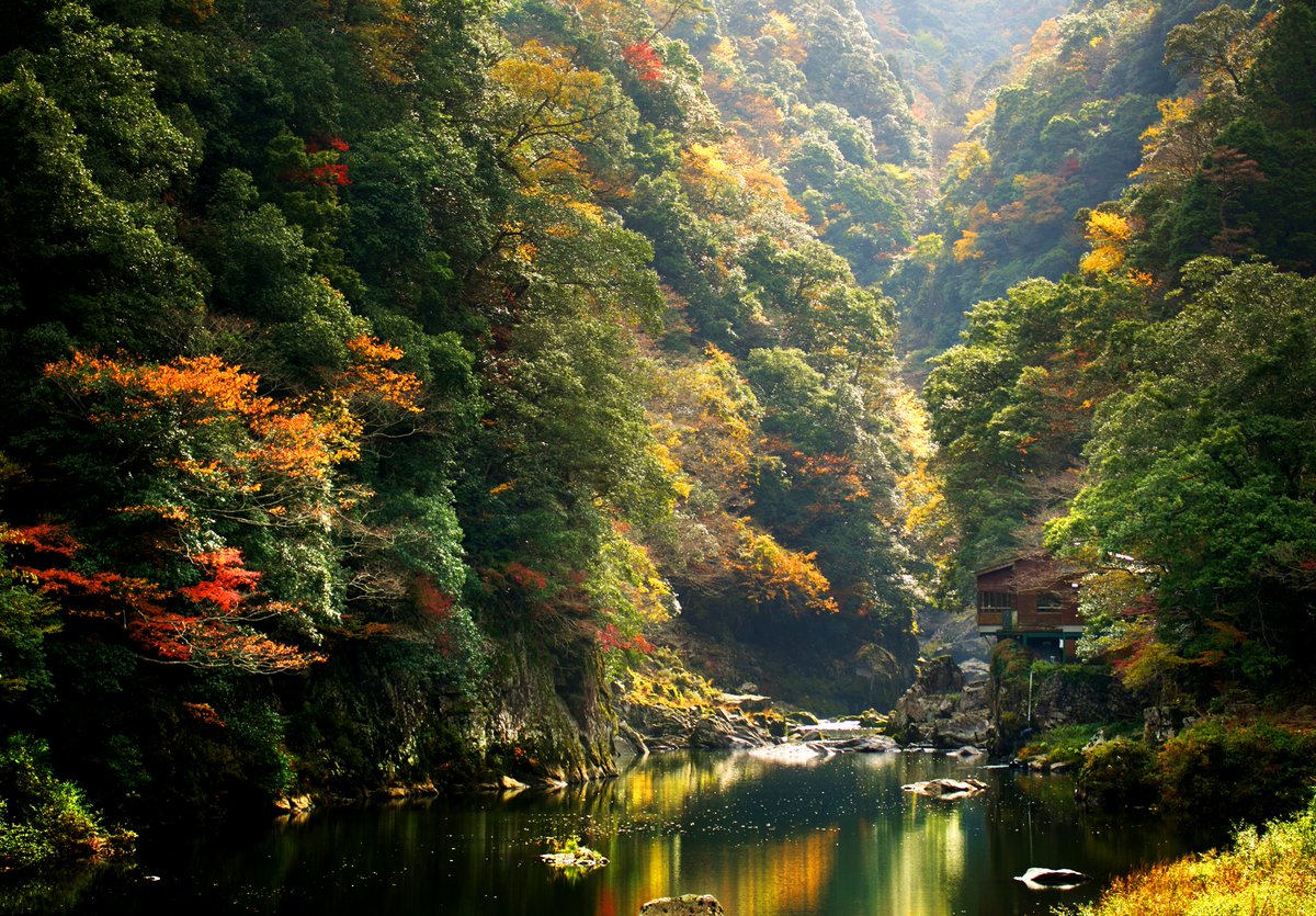 venayamaguchi's tweet photo. Yamaguchi (山口) significa literalmente en japonés “la boca de la montaña”. Uno de nuestros lugares naturales favoritos es el cañón de Chōmonkyō (長門峡) (ruta de senderismo de 12 km) #megustayamaguchi #visityamaguchi
#japan #yamaguchiprefecture #cooljapan #traditionaljapan https://t.co/5JysKWPaYP