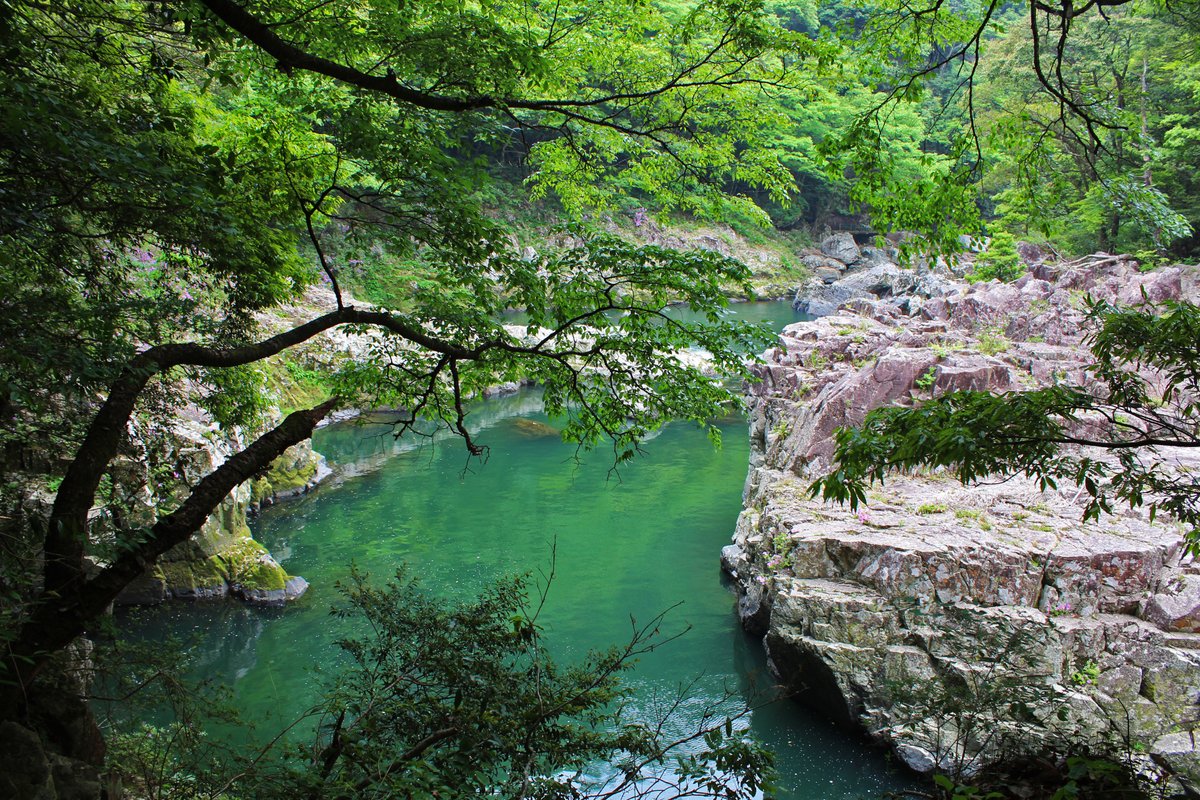 venayamaguchi's tweet photo. Yamaguchi (山口) significa literalmente en japonés “la boca de la montaña”. Uno de nuestros lugares naturales favoritos es el cañón de Chōmonkyō (長門峡) (ruta de senderismo de 12 km) #megustayamaguchi #visityamaguchi
#japan #yamaguchiprefecture #cooljapan #traditionaljapan https://t.co/5JysKWPaYP