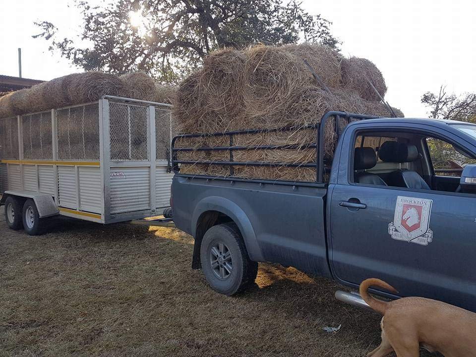 CoastalHCU's tweet photo. We are planning for a increase intake of horses due to Corona. Does anyone know where we can get affordable large rounds of erogrostis or teff. Or any other hay for our preparation.  Donations of Hay or funding for Hay would be much appreciated call Anne 0837037928 https://t.co/G8i8GCY4S1