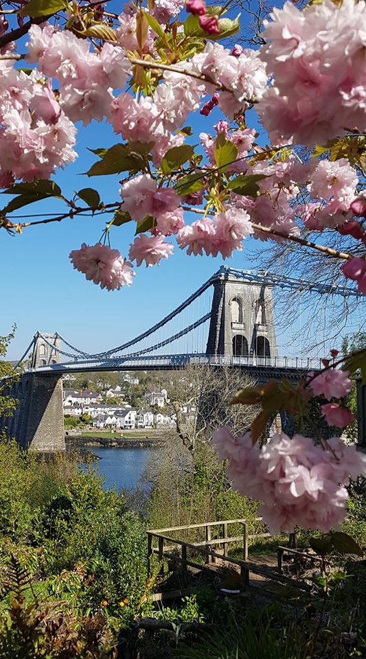 AnneEll77232876's tweet photo. 9 weeks now but we understand completely. Please stay at home this weekend as the Coronavirus in Wales seems to have increased after the Easter Holidays. Stay at Home this weekend
#StayHome #SaveOurNHS #valuelives https://t.co/ek7lFPDyZ5
