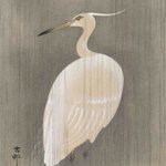 main image of this resource