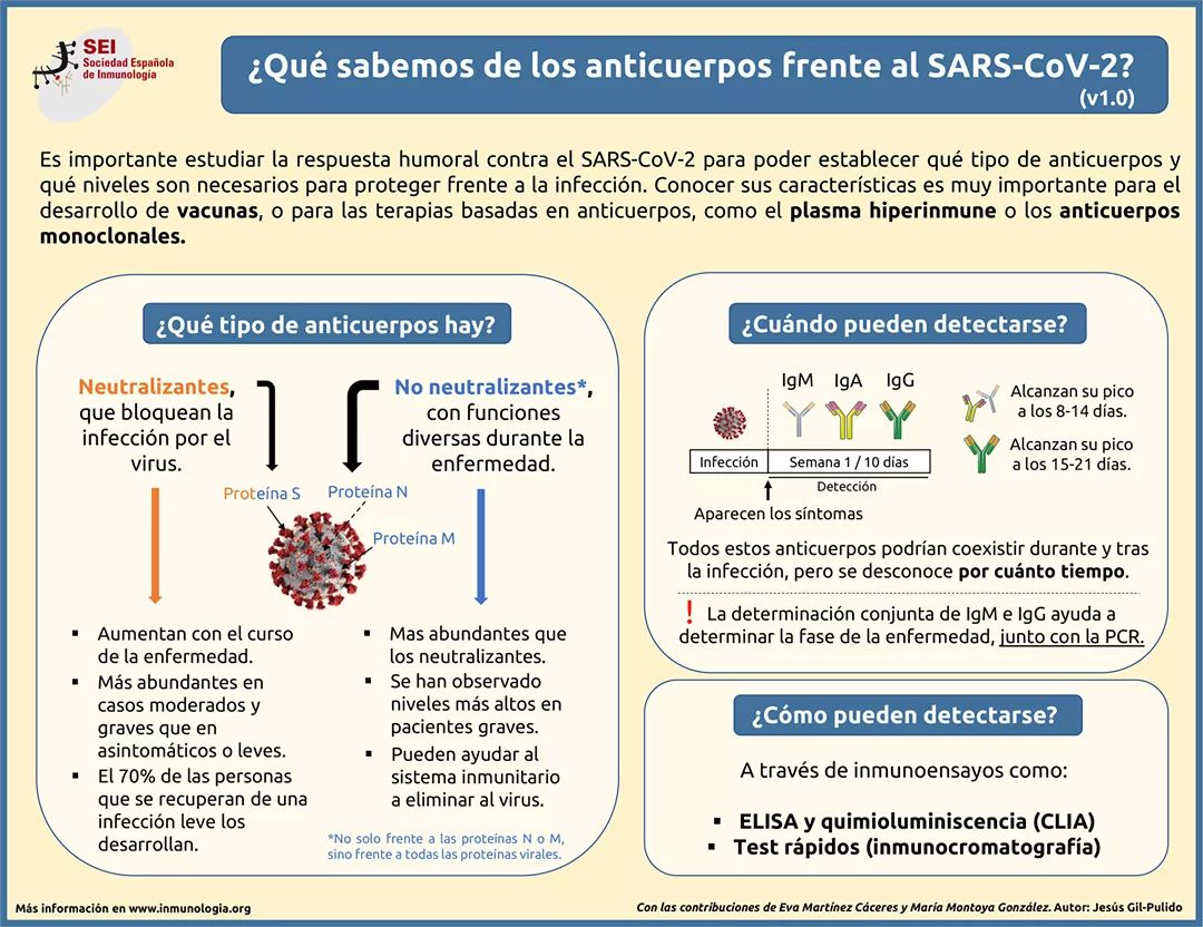 SEinmunologia's tweet photo. ¿Qué sabemos de los anticuerpos frente al nuevo #coronavirus 🦠? ¿Cuándo y como se detectan? 👇 https://t.co/uoa0nnwWQE