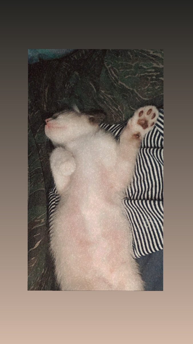 Sapjong's tweet photo. Clouds 😹 https://t.co/Ojf9oD3Ssx