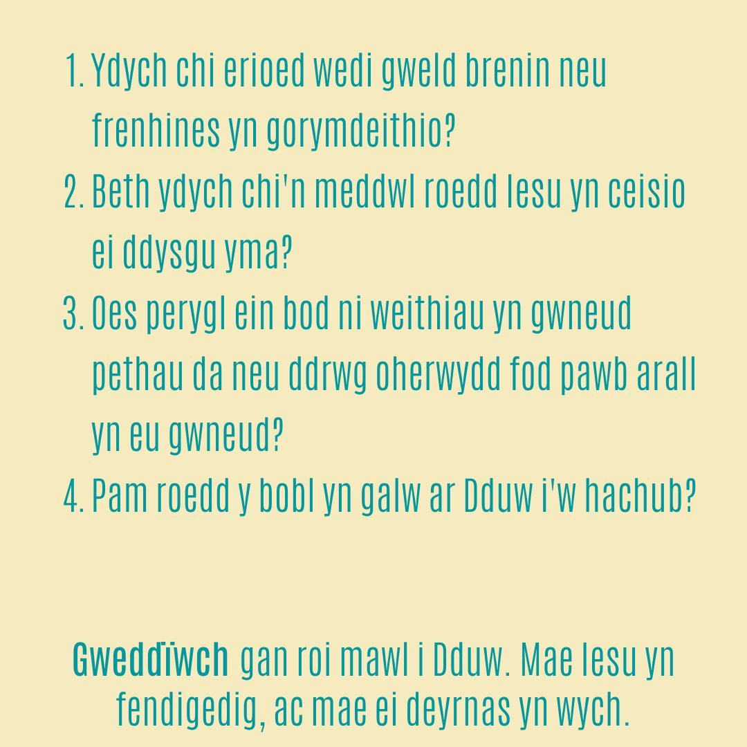 Gwneud Marc 36 – Croesawu’r Brenin

Marc 11:1-11

llwybrau.org/gwneud-marc-36