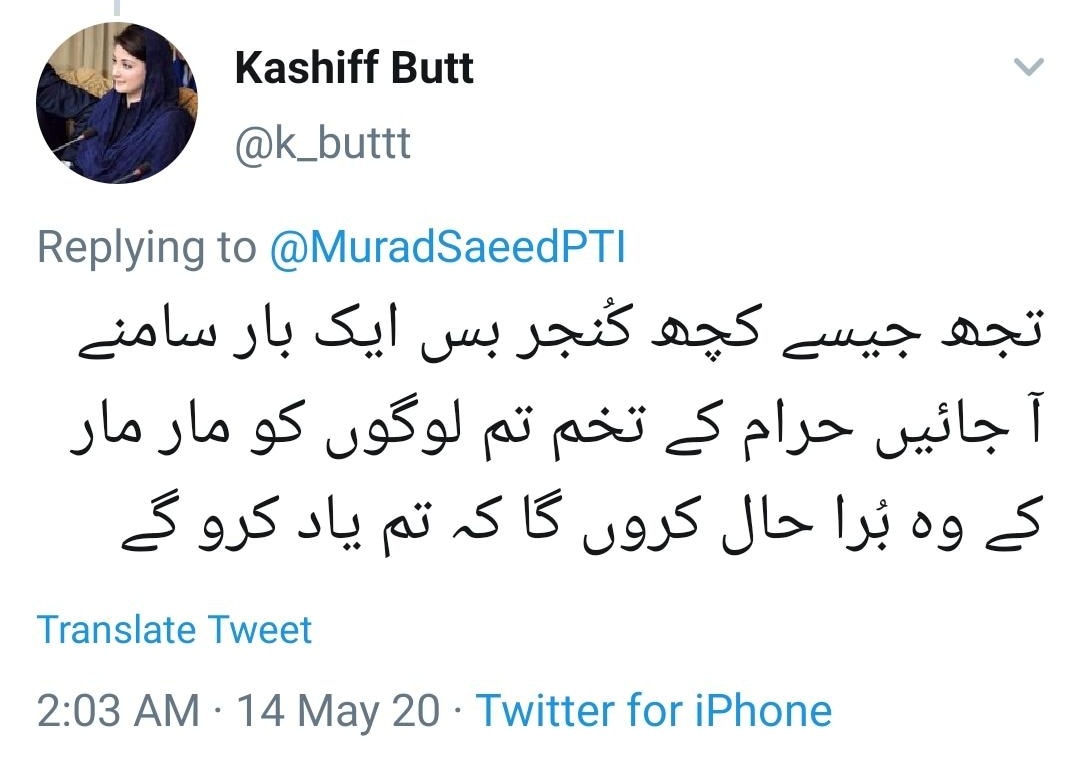 Abusive language and typical incitement to violence is a normal feature in tweets of these trolls.  @MaryamNSharif can discourage abuse by in following such accs but ofcourse big question is Does She?