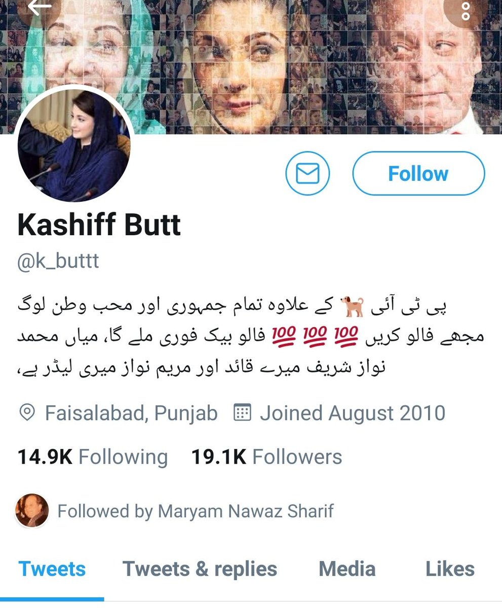 Abusive language and typical incitement to violence is a normal feature in tweets of these trolls.  @MaryamNSharif can discourage abuse by in following such accs but ofcourse big question is Does She?