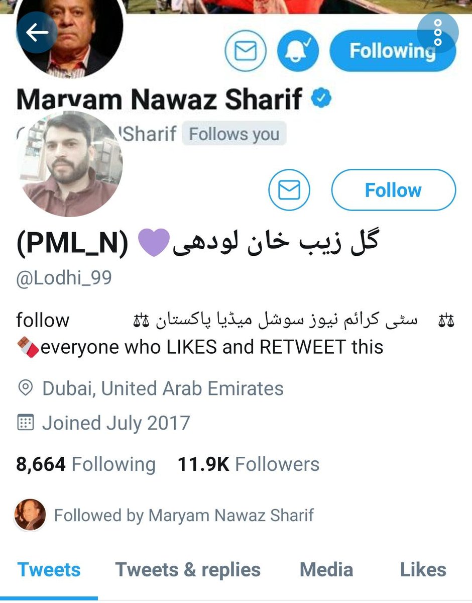 Abusive language and typical incitement to violence is a normal feature in tweets of these trolls.  @MaryamNSharif can discourage abuse by in following such accs but ofcourse big question is Does She?
