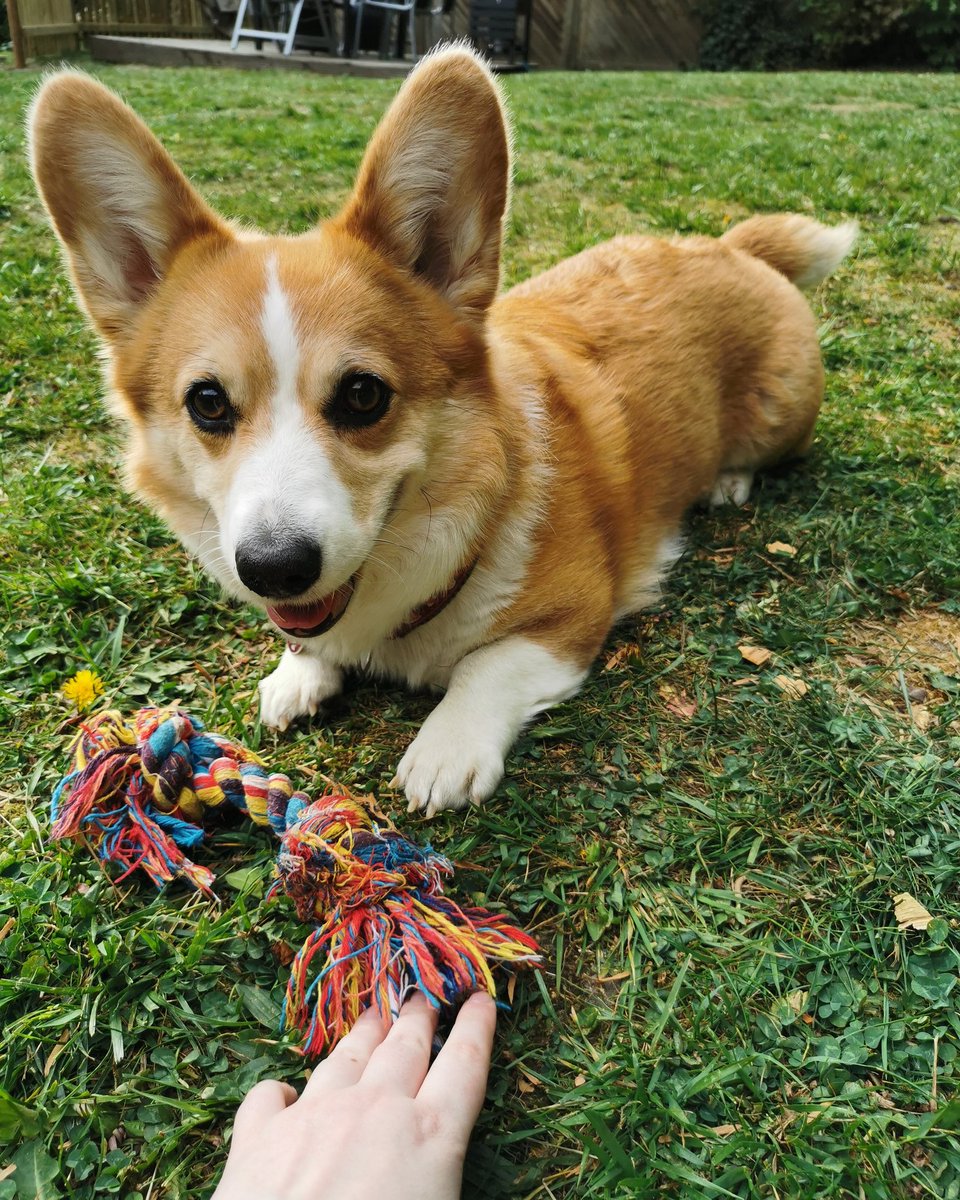 Stell dir vor, es ist #weltfrieden und keiner merkt es. #peace
Kommt gut ins Wochenende! 
 #WWG1WGA