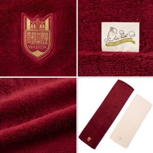 早稲田カラーのtwitterイラスト検索結果