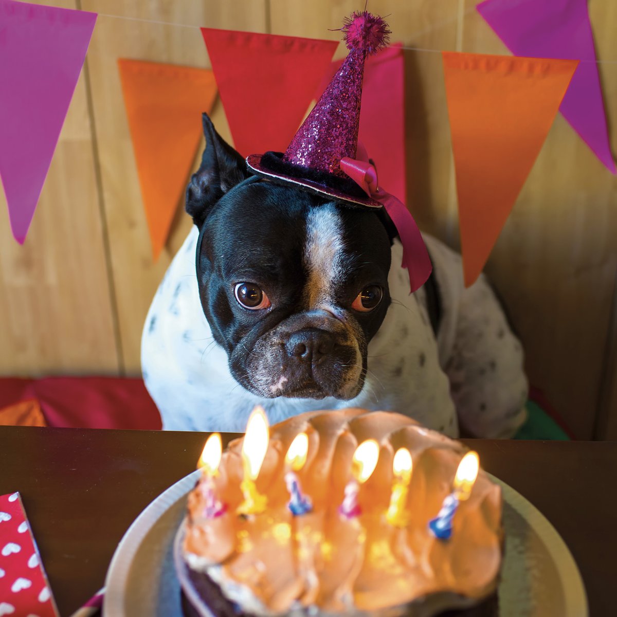 😀Et si on vous disait que, chez Hug Avenue, on peut vous aider à en finir avec les anniversaires en célibataire ? 💕🎂 #celibataire #rencontrecélibataire #rencontre #rencontreamoureuse #rencontreserieuse #hugavenue #rencontresfrance #célibataire #célibataire