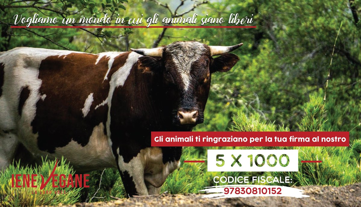 IeneVegane's tweet photo. Per rendere rendere possibili dei grandi risultati dona il tuo #5x1000 a #ienevegane! Insieme potremo fare ancora di più. 
#ienevegane da anni scende nelle piazze di tutta #italia per garantire che gli #animali vengano riconosciuti come soggetti e siano rispettati. https://t.co/0c3KIs4efb