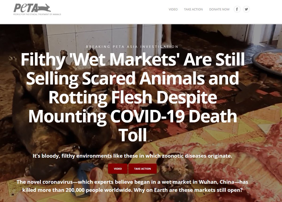 Yvettweets's tweet photo. Hey @peta - could you not use the words "wet-market" and "live-animal market" interchangeably? Thousands of people in Asia go to wet markets to get their fresh meat, veg and produce - hardly the slaughtering ground you've described. https://t.co/L5BTy4djHW