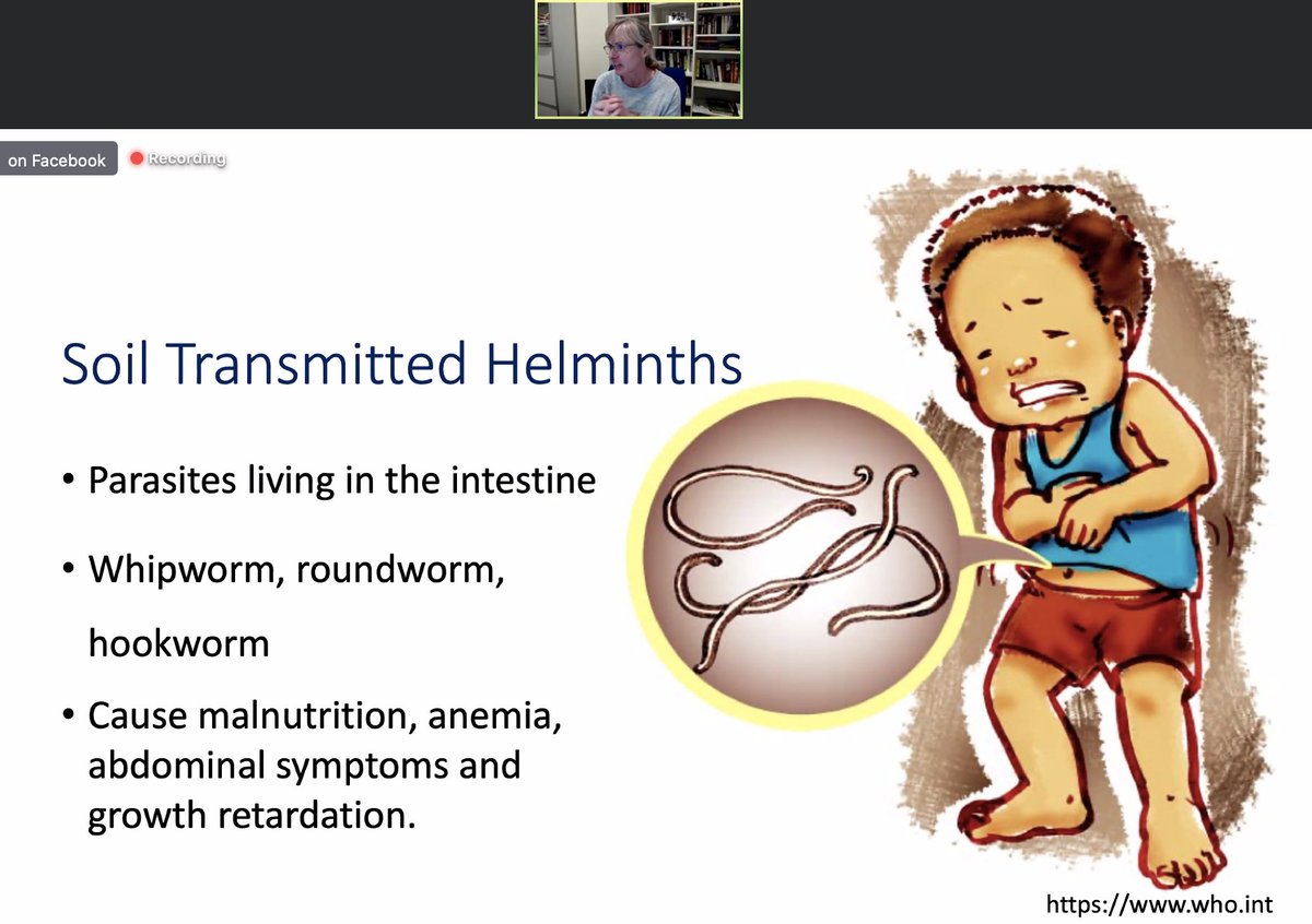 CatrionaNR's tweet photo. Helminths like hookworm are parasites that live in the gut and cause malnourishment (or worse). @Nicola_L_Harris is designing a protective vaccine that encourages the immune system to produce antibodies that can trap them.
@DayofImmunology #DoImmuno https://t.co/rokMNqNmd8