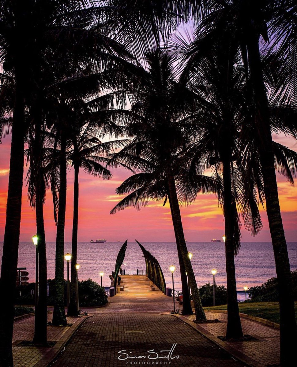 Durban you beauty 😍