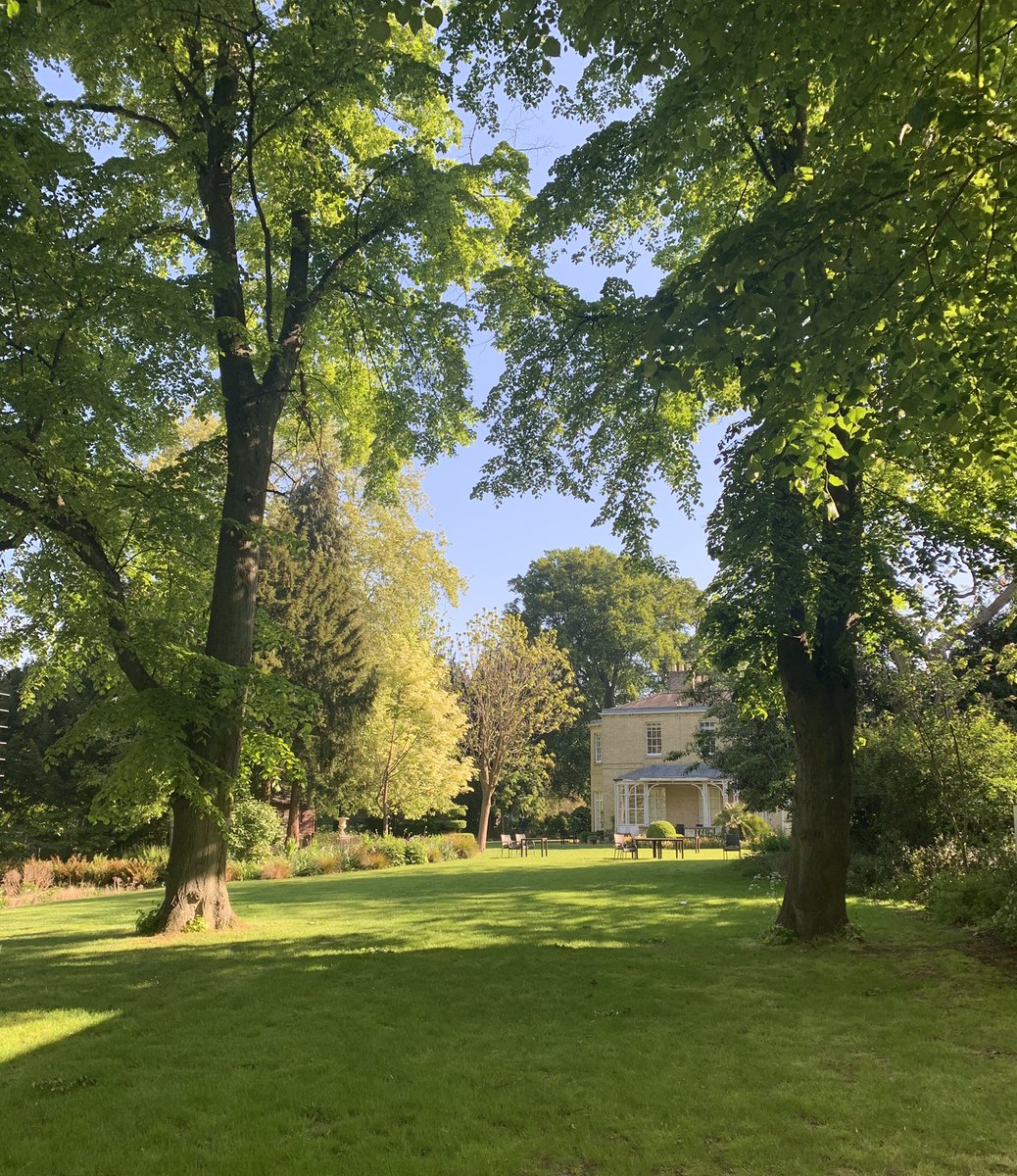 DrBDrummond's tweet photo. @FitzwilliamColl doing its thing 🥰 https://t.co/xRKwInAcXU