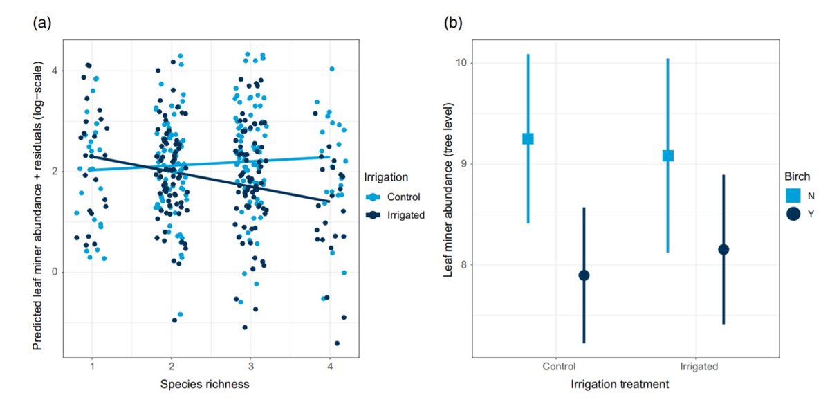 Julia Koricheva tweet media