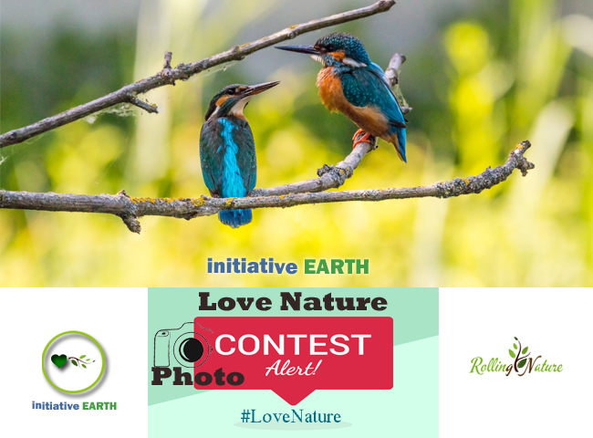 initiativearth's tweet photo. #LoveNature FB Photo Contest Alert! Do you have best 📸Photos of Nature?This contest aims at rethinking &amp; restoring Earth's Biodiversity. Be a part of LOVE NATURE 2020 Campaign by Initiative Earth. #LoveNature #IntiativeEarth Details coming soon. #ContestAlert #ContestIndia https://t.co/7Oq0ROTQTX