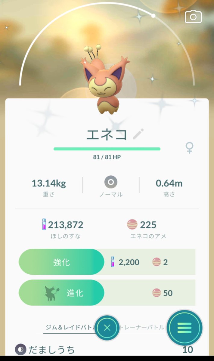 エネコ色違い Twitter Search エネコ色違い Twitter Search