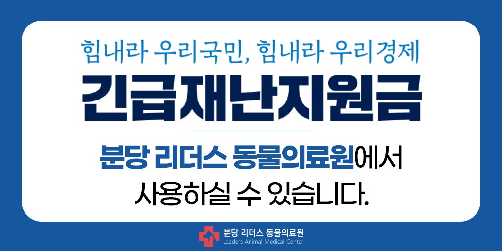 분당 리더스 동물의료원에서 긴급재난지원금을 사용하실 수 있습니다!😃