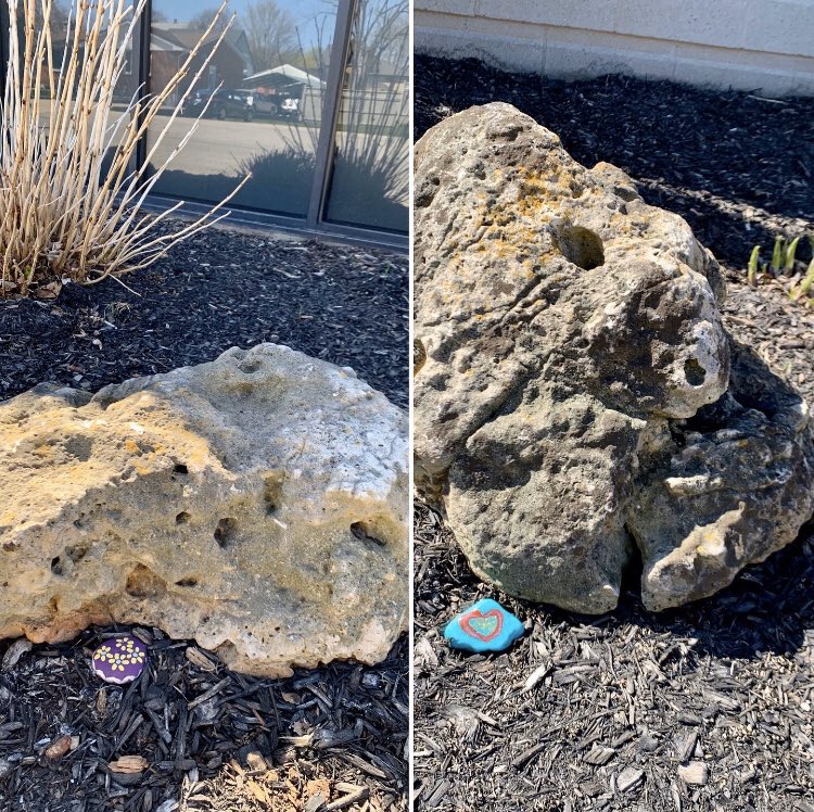 farrowfinancial's tweet photo. Some lovely painted #BelmontRocks have made an appearance in our gardens lately, encouraging kids to spend more time outdoors exploring and off electronics. Paint and place rocks to send messages of hope and love in our #community #IsolationCreativity #BelmontON #FarrowFinancial https://t.co/DEpyiKE4l9