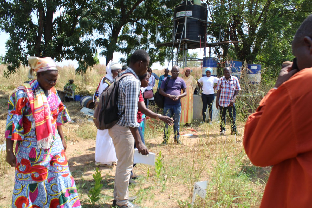 PGreenBuilders's tweet photo. 5-Stakeholders of Ouagadougou interacting with stakeholders of Tamale, including market gardeners at the experimental site of the Green Builders project in Tamalé

#wastemanagement
 #wasterecycling
 #wasterepurposing
#sanfo.s@wascal.org https://t.co/zx1aQkxK36