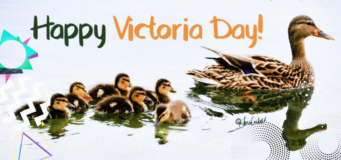 laura_corbeth's tweet photo. Happy long weekend! #VictoriaDay
I heard a term the other day I loved: #joytrigger.
Iโll be watching many birds this weekend and enjoying nature. My Joy Triggers. #joytrain
#happy #happythoughts https://t.co/9D67kwx06u
