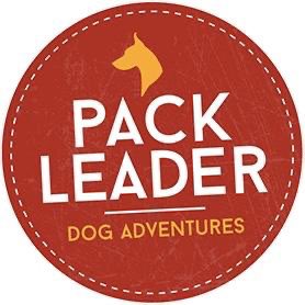 Another thank you to our third sponsor of the day Pack Leader! 

A brilliant local company to have on board helping us prepare for next season! 

Please check their website below if you need your beloved dogs walking! They need their exercise too. 

packleaderuk.com

#UTF