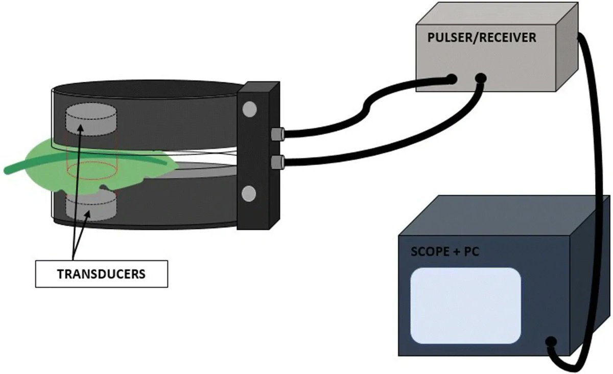 sci_plant's tweet image. Instantaneous and non-destructive relative water content estimation from deep learning applied to resonant ultrasonic spectra of plant leaves

plantmethods.biomedcentral.com/articles/10.11…
#plantsci #ultrasonic #watercontent ♻️