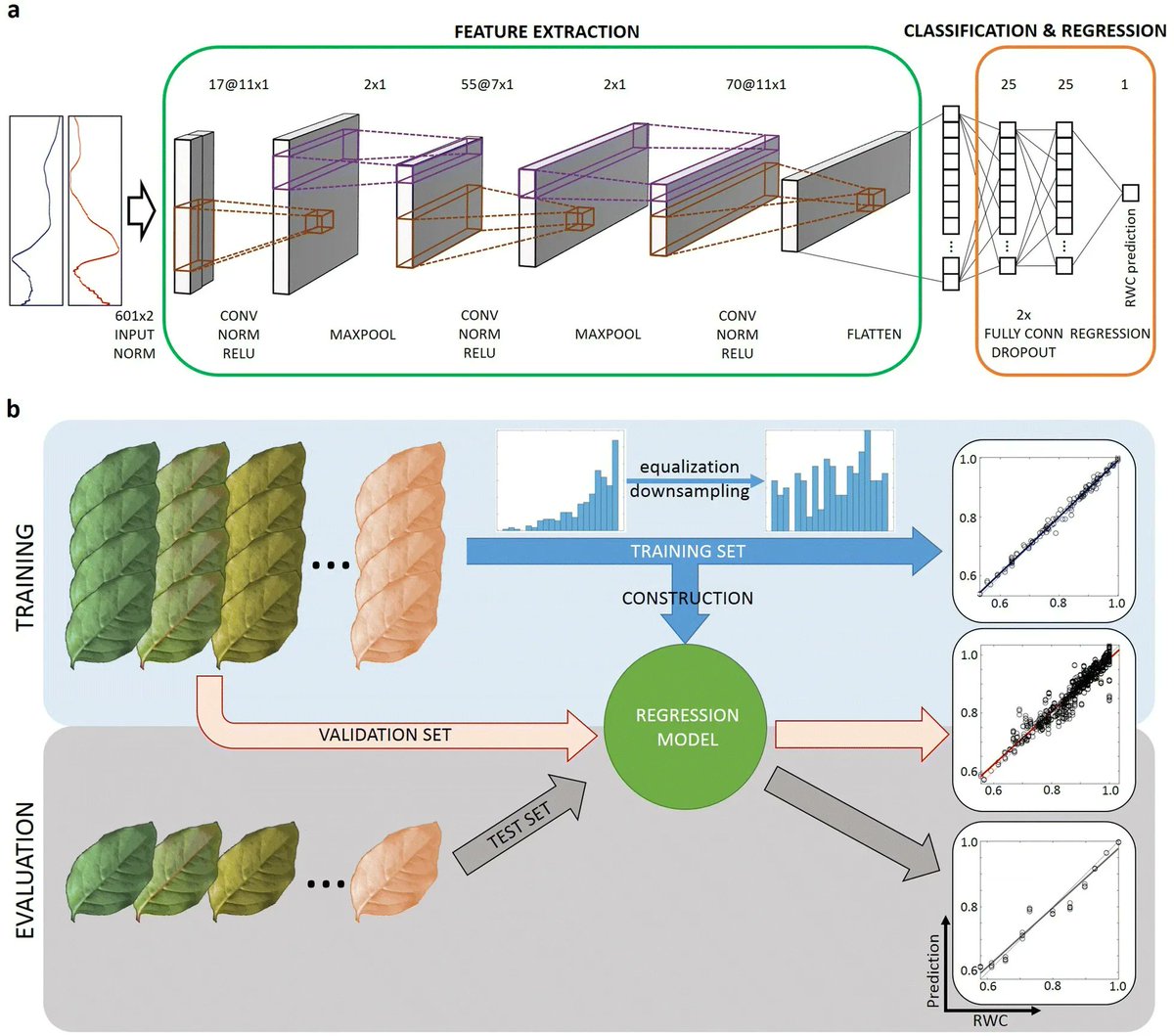 sci_plant's tweet image. Instantaneous and non-destructive relative water content estimation from deep learning applied to resonant ultrasonic spectra of plant leaves

plantmethods.biomedcentral.com/articles/10.11…
#plantsci #ultrasonic #watercontent ♻️