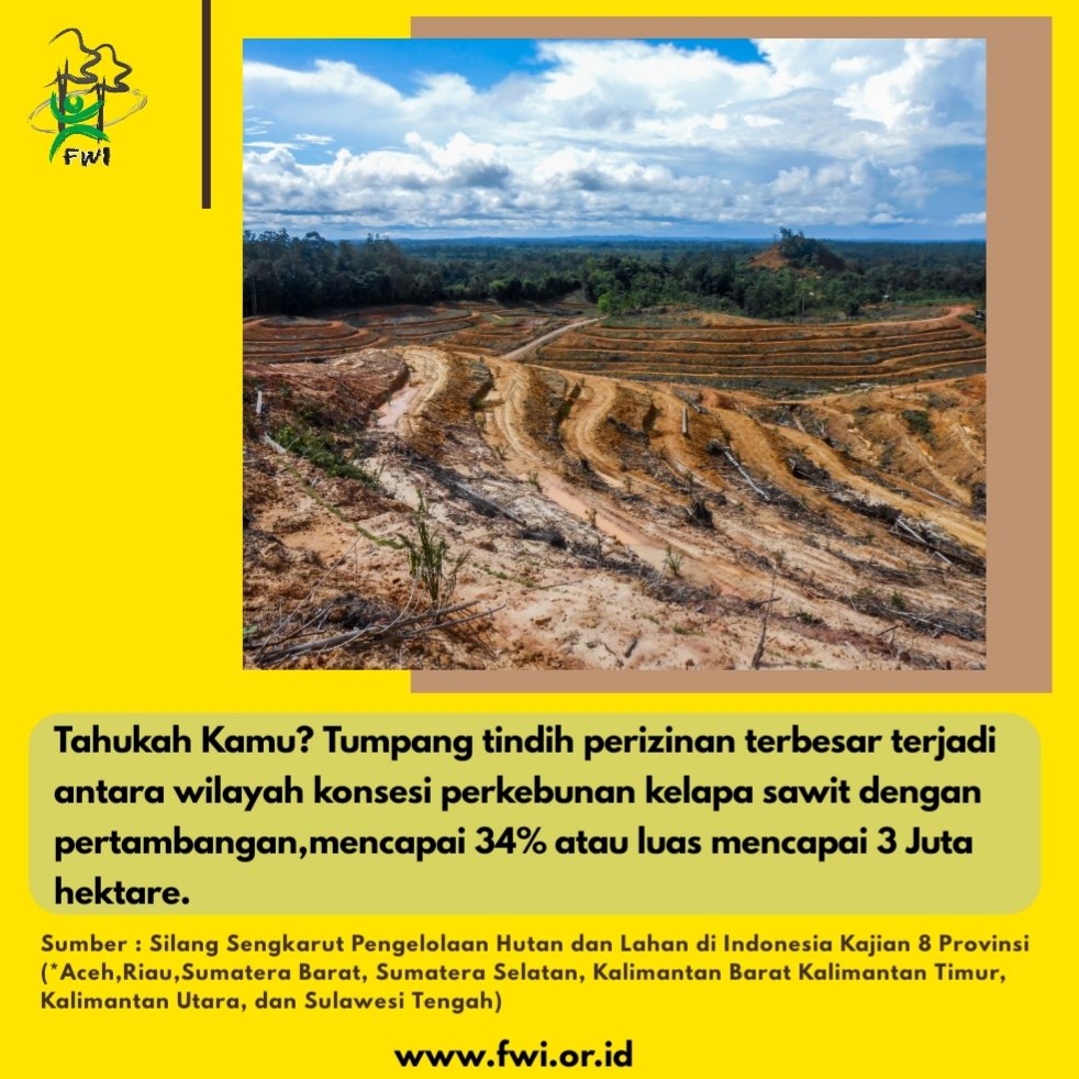 Ketika tumpang tindih perizinan berdampak kepada hilangnya hutan alam dan memunculkan konflik.