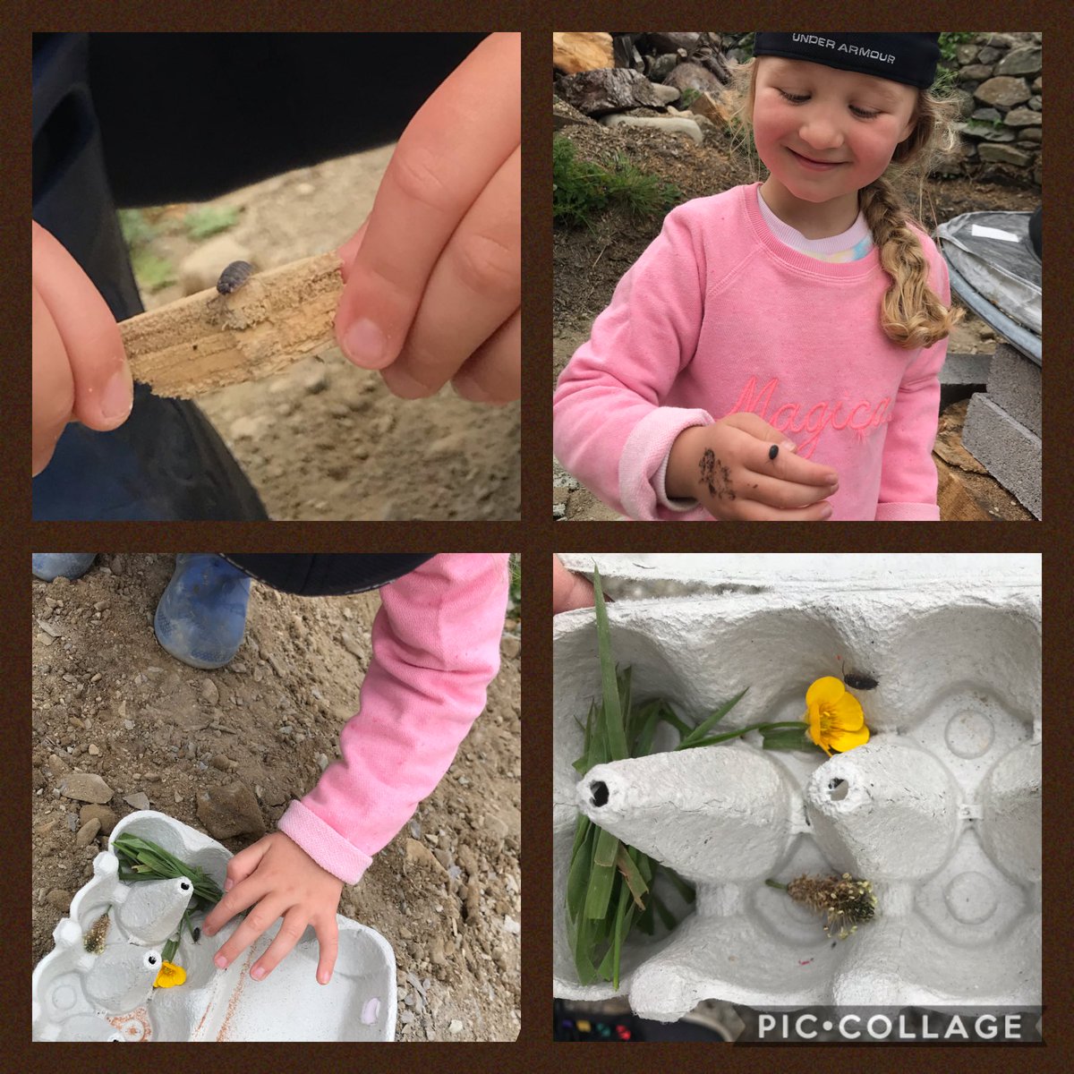 NiaWynRoberts3's tweet photo. Elys eisiau i chi gwrdd a โFflurโ - ei ffrind newydd ๐ โฆโฆ@YsgLlanllechidโฉ #trychfilod #hwylynyrardd #dysguoadref https://t.co/2emqxwZ9IF