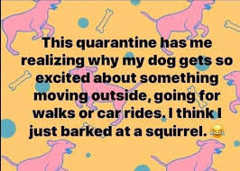 SDKTenbyChase's tweet photo. Some quarantine humor.  Happy Friday! https://t.co/OHbJdBvPKX