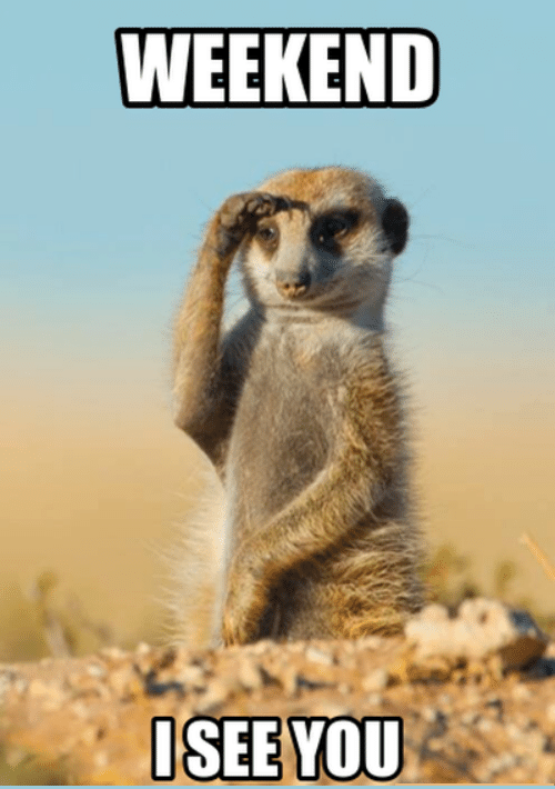 Jocoderm O Ya It Is Friday Hope Everyone Has A Fabulous Day Jocoderm Friday Today Weekend Fun Smile T Co Rfumdqcnin Twitter