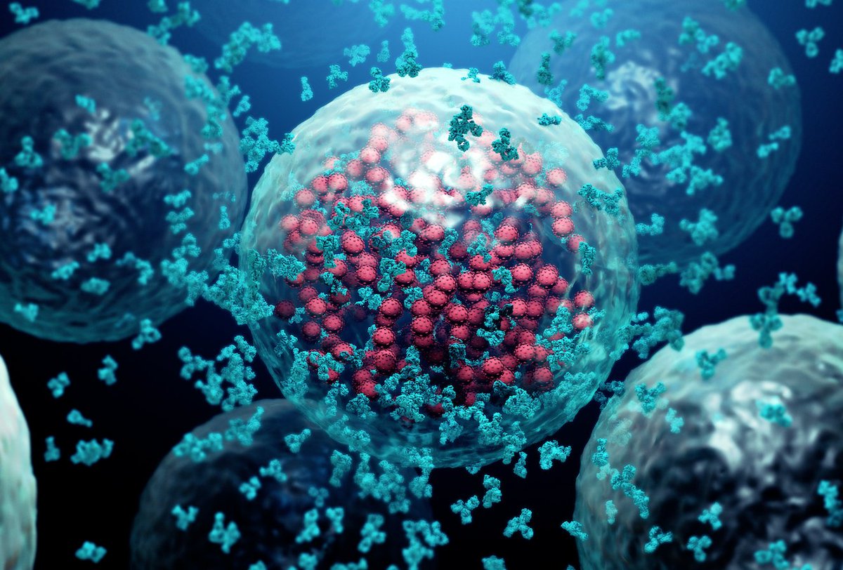 ImmunoReagents's tweet photo. ImmunoReagents is the direct US manufacturer of quality antibodies and reagents used in research and in vitro diagnostics.
Visit our site to find exactly what you need for your studies.
https://t.co/mrEOHQYlBh
#research #antibodies #manufacturer #immunoreagents #us https://t.co/kutDXhZgy8