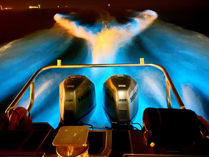 View image on Twitter