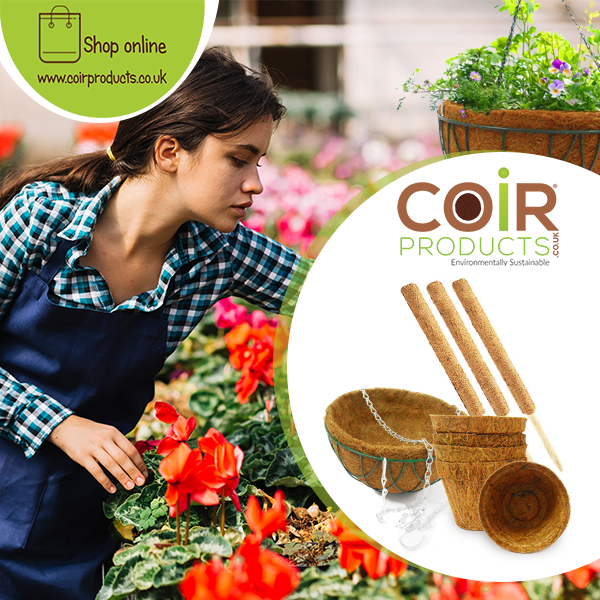 CoirProductsUK's tweet photo. Looking for that biodegradable touch to complete your garden? We have a range of coir based products that can help you.
Visit us on https://t.co/eWZcdXxEgW to place your orders.
#CoirProductsUK #CoirPots #CocoPots #HangingBasket #GrowPoles #Allotment #Allotments https://t.co/y4A7NMn6vZ
