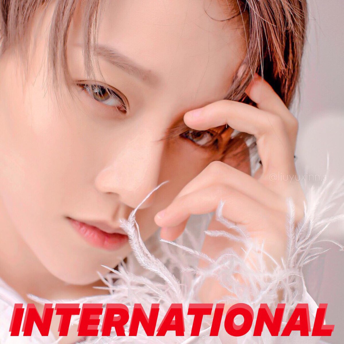 adorelyx's tweet photo. hello INTER-FANS of XIN Liu!
the final round is coming, it’s time to focus on VOTING! Liu Yu Xin deserves to get No.1! 
I’ve made a tutorial for voting, click in this link for details: https://t.co/Bv9vKRQKrG
There’s also a thread below ⬇️
#XINter https://t.co/zzVOhNpAzH