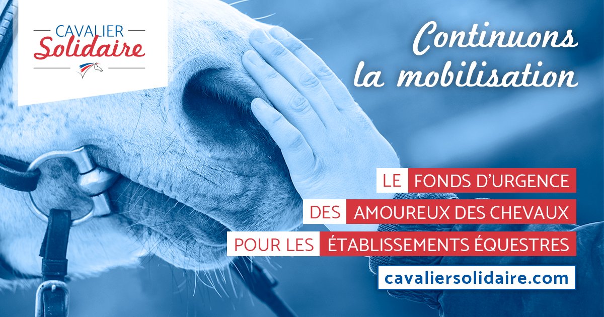 Fédération Française d'Équitation tweet media