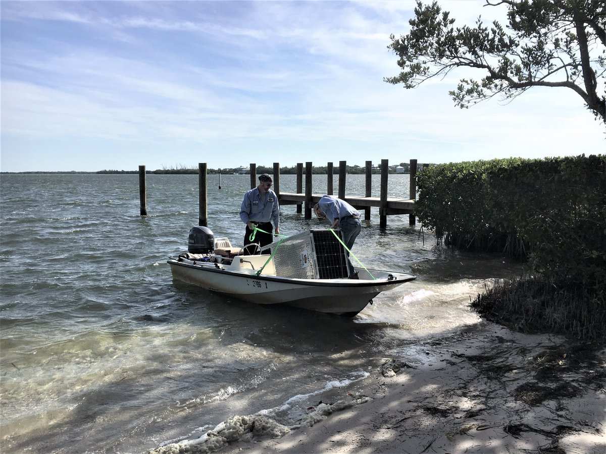 LeeCoMosquito's tweet photo. BG counter traps transported and set up on Cabbage Key & Upper Captiva Island. Mosquitoes numbers on the islands can now be monitored remotely and instantly. #FightTheBite https://t.co/VOT4lcbW1H