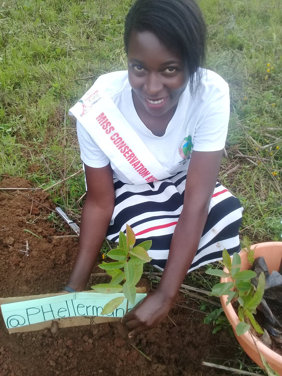 MourineAsiimwe's tweet photo. I plant a tree for every new follower.
No. 34
@PHellermann
This is one way you have contributed towards environmental conservation through tree planting🌴💚🌲
#missconservationKigezi2019/20
#PlantaTreePlantHopedrive #Modelgarden
#ConservationVoicesAfrica https://t.co/ct34Iot2Bz