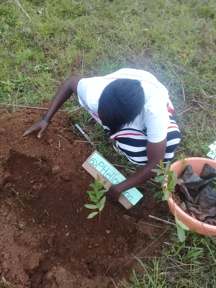 MourineAsiimwe's tweet photo. I plant a tree for every new follower.
No. 34
@PHellermann
This is one way you have contributed towards environmental conservation through tree planting🌴💚🌲
#missconservationKigezi2019/20
#PlantaTreePlantHopedrive #Modelgarden
#ConservationVoicesAfrica https://t.co/ct34Iot2Bz