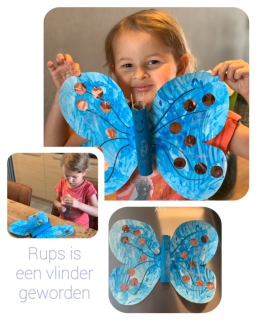 Rupsje Nooitgenoeg is een prachtige vlinder geworden 🦋 #Trapleerke