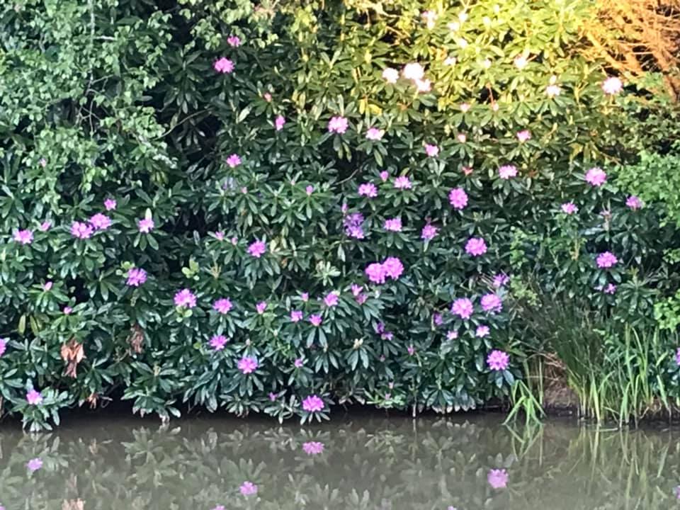KingslakesDevon's tweet photo. We are contacting customers with bookings up to 4 July as we will not be able to re-open until at least then. Please bear with us while we make contact with guests affected by latest lockdown rules. In the meantime stay safe and well, we look forward to seeing you all soon! https://t.co/qUBArt1t4a