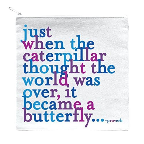 sarahbladen's tweet photo. Happy Friday 🤩 #motivationalfriday https://t.co/BnCCrwikTC