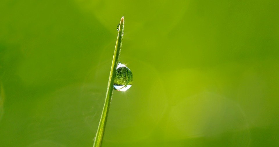 LibraryPutney's tweet photo. To see us through, another, beautiful day:

Clear moment 

Open heart holds
Promise of early dew,
Space united

#Haiflu #haiku #poetry #stayathomesavelives #putneylibrary

🌷🌸🌺🌺🌸🌷🌼 https://t.co/CEaNmMJY6n