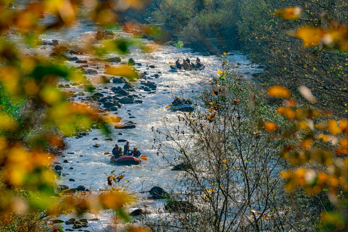 duzceiktm's tweet photo. Cumayeri Dokuzdeğirmen Köyü Doğa ve Rafting meraklıları için heyecan verici bir yer🏕️ Aynı zamanda yürüyüş kamp ve açık hava aktiviteleri içinde ideal💚
📸 @AcarGulcan 
#FridayFeeling #EvdeKal
#Turkey #Duzce #Cumayeri #DokuzdeğirmenKöyü
@TCKulturTurizm @TCKulturPortali @GoTurkey https://t.co/TAnifeiCkF